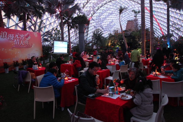 Chenshan Botanical Garden hosts Lantern Festival and Valentine’s Day Party