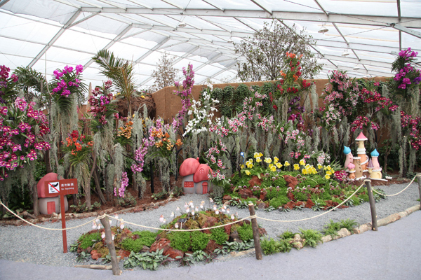 Second International Orchid Show wraps up