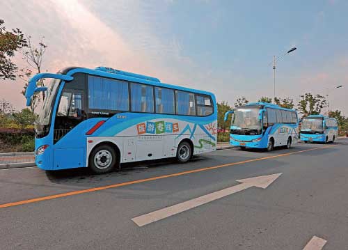 Free tourist buses