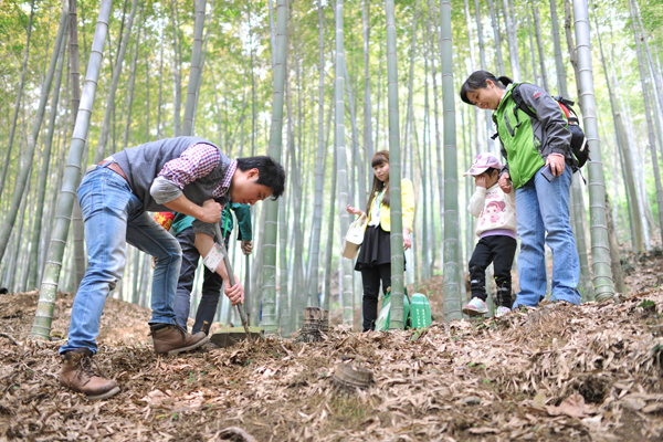 Bamboo shoots cultural festival gets underway