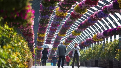 Riotous roses exhibited in famed botanical garden