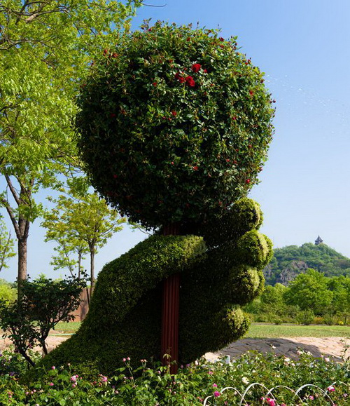 Riotous roses exhibited in famed botanical garden