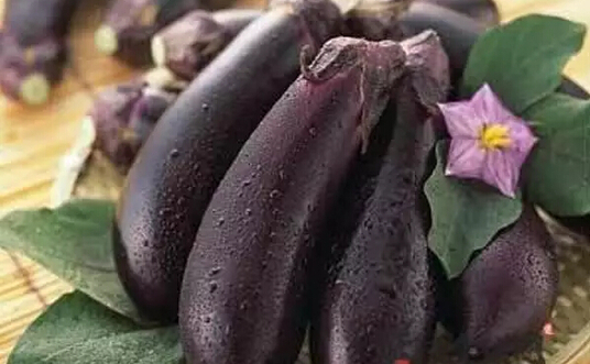 Tiny eggplants with the scent of orchids