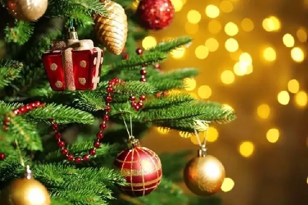 Enjoy luxurious Christmas cuisine in Sheshan