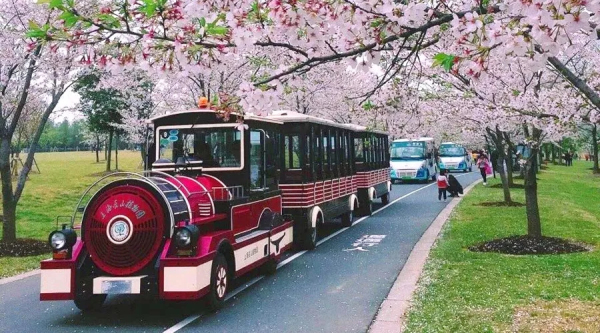 Two-day family outing in Sheshan