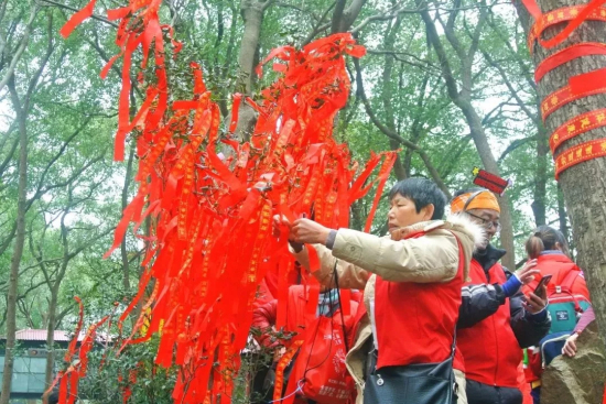 Annual hike held in Sheshan for New Year's Day