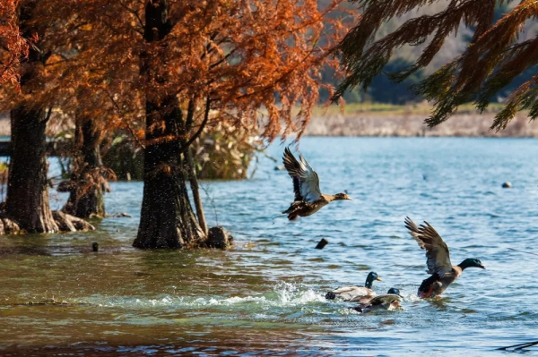 Photography exhibition showcases Chenshan in four seasons