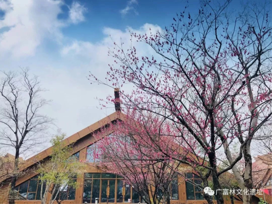 Plum blossoms seen at Guangfulin Relics Park