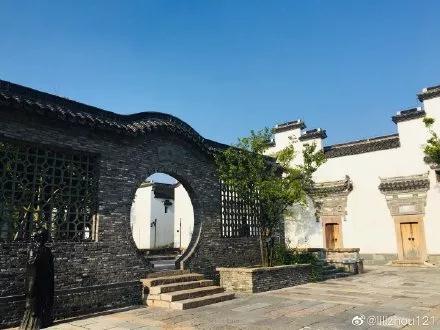 Savor early summer scenery of Sheshan