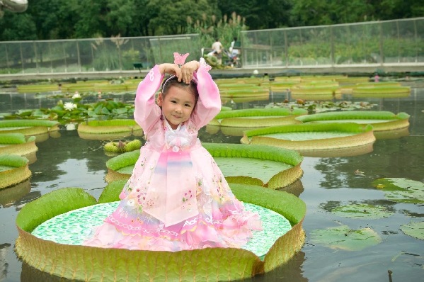 Sheshan blooms with ongoing lily expo