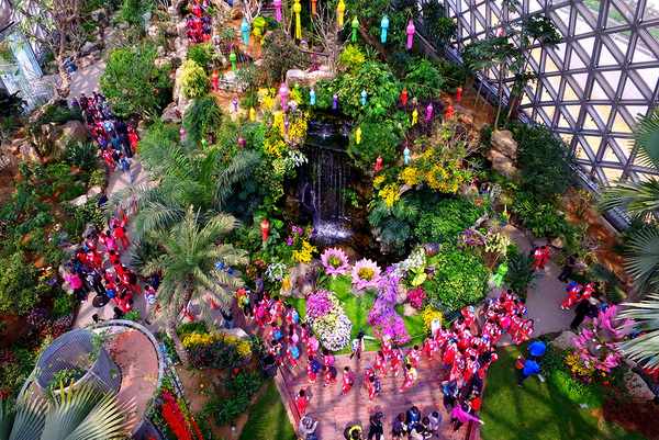 Flower shows in Chenshan throughout the year