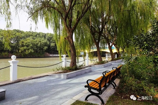 Eight greenways in Songjiang district perfect for daily fitness