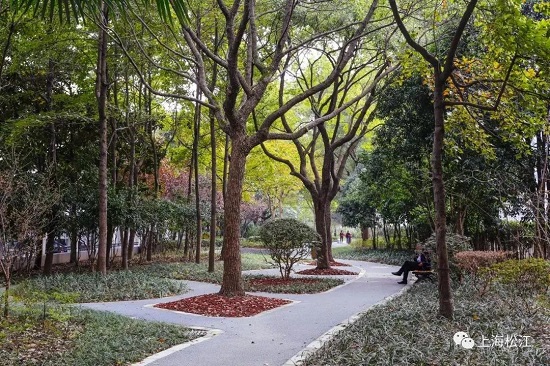 Eight greenways in Songjiang district perfect for daily fitness