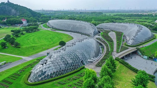 Pick fruit at Chenshan Botanical Garden