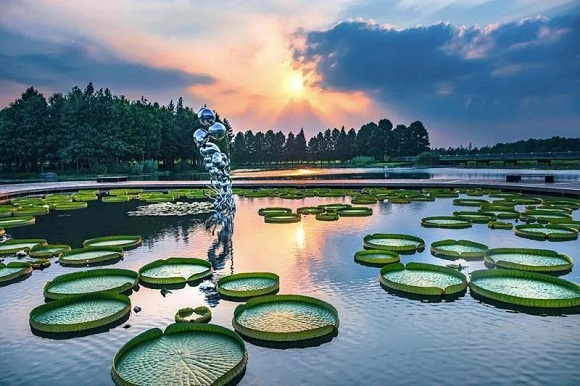 In pics: Chenshan Botanical Garden in four seasons