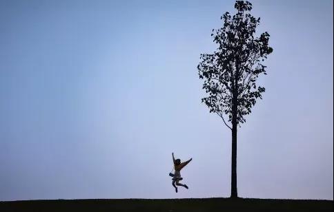 Lonely tree in Shanghai Chenshan Botanical Garden goes viral