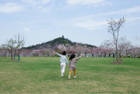 Chenshan Botanical Garden, an ideal place for parent-child tours