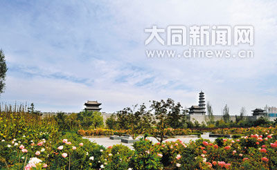 Datong begins large-scale greening project