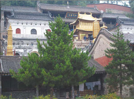 Mt Wutai: A spot for spiritual solace