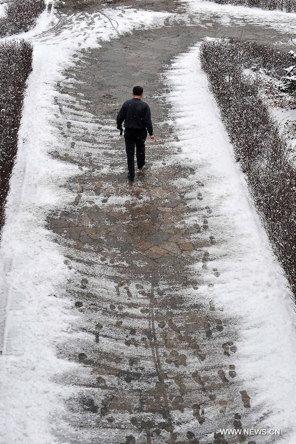 Snowfall hits N China's Shanxi