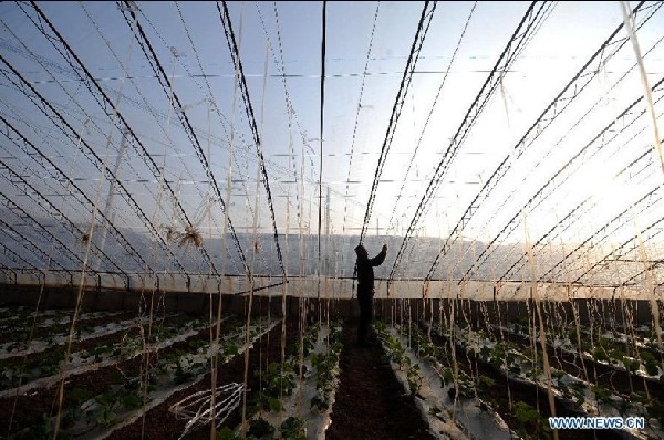 Jingadao Village of China's Shanxi forms recycling economy