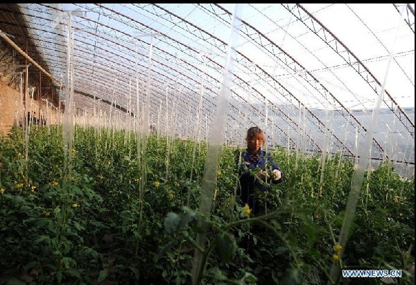 Jingadao Village of China's Shanxi forms recycling economy