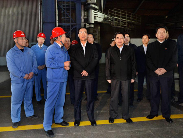 Vice premier sees economic progress, problems