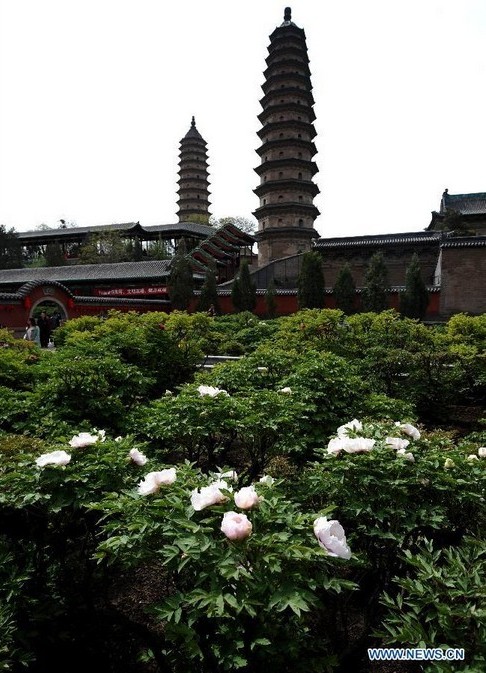 Twin pagodas at Yongzuo Temple