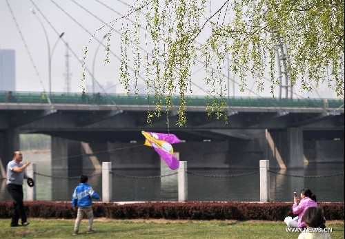 Warm weather, blossoms attract tourists in N China