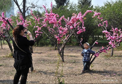 Warm weather, blossoms attract tourists in N China