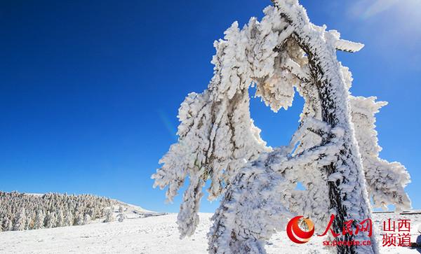 Snow scenary of Luya Mountain