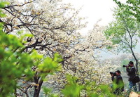 Have a trip in Shanxi province during May Day holiday