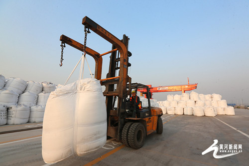 Shanxi's biggest logistics park opens