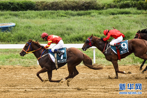 Youyu county hosts major horse racing competition