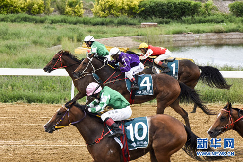 Youyu county hosts major horse racing competition