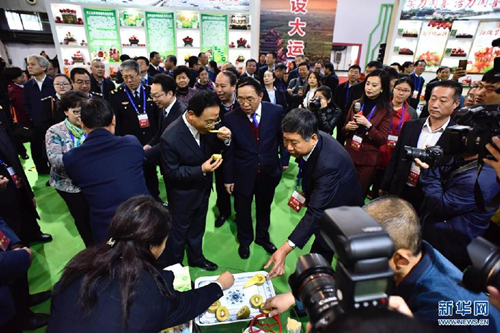 Yuncheng harvests juicy deals at fruit expo