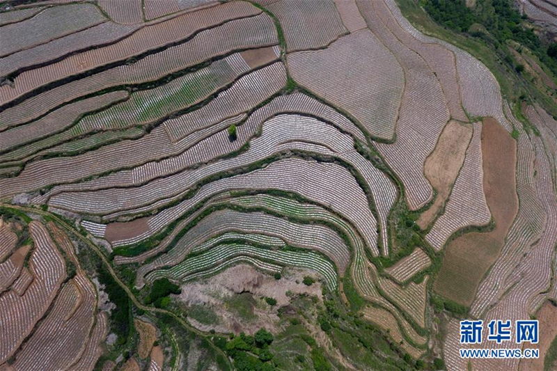 Aerial photos show stunning Shanxi terrace fields
