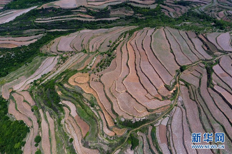 Aerial photos show stunning Shanxi terrace fields