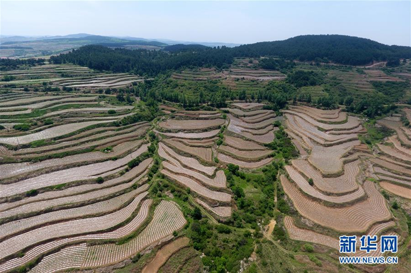 Aerial photos show stunning Shanxi terrace fields