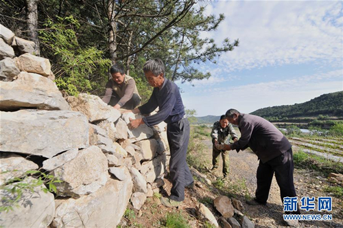 Huguan county turns barren land into green miracle