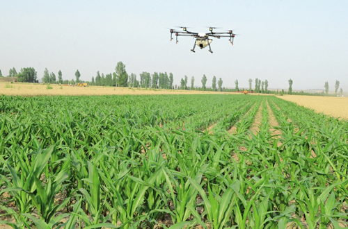 Drones used for farm work in Shanxi