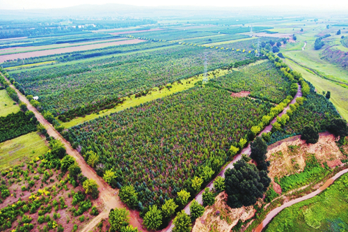 Eco restoration projects help restore Shuozhou