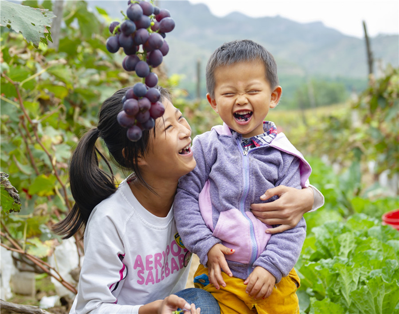 A golden autumn harvest in Shanxi province