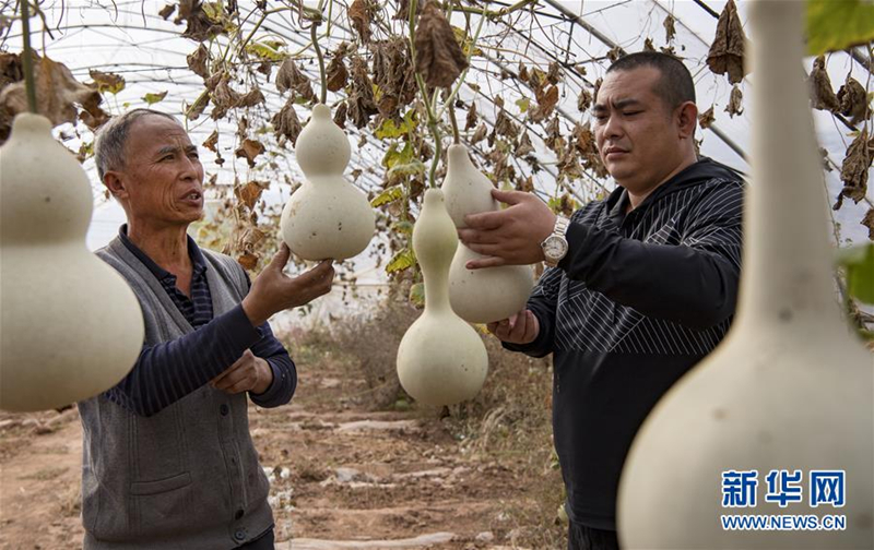 Unique challenges, skills for Qinyuan gourd man