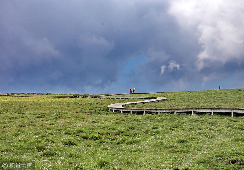 A journey to alpine grasslands in Shanxi