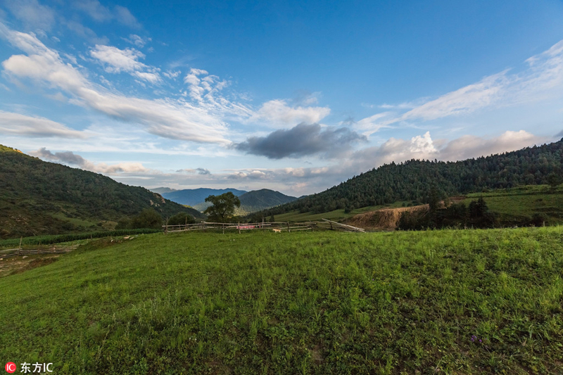 A journey to alpine grasslands in Shanxi