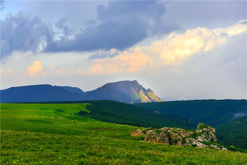 A journey to alpine grasslands in Shanxi