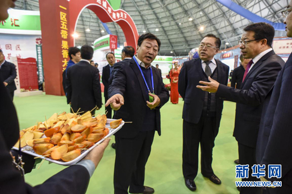 Visitors flock to Yuncheng fruit expo