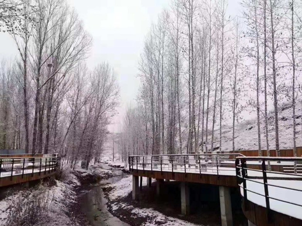 Birds find perfect winter habitat at Yunzhu Lake