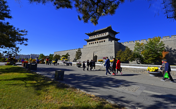 Datong ushers in chrysanthemum season